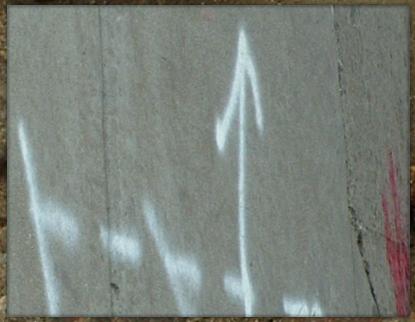 DSCF0004