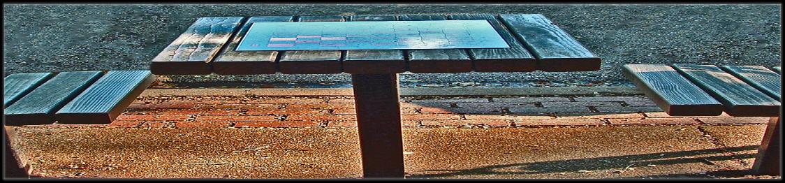 DSCF0061