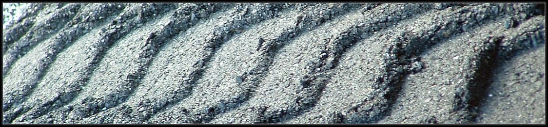 DSCF0067