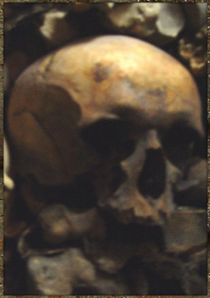 ParisCatacombsCryptResident